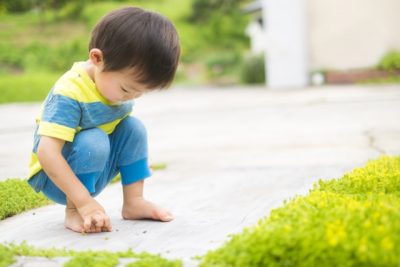 ダンゴムシを見つける子どものイメージ